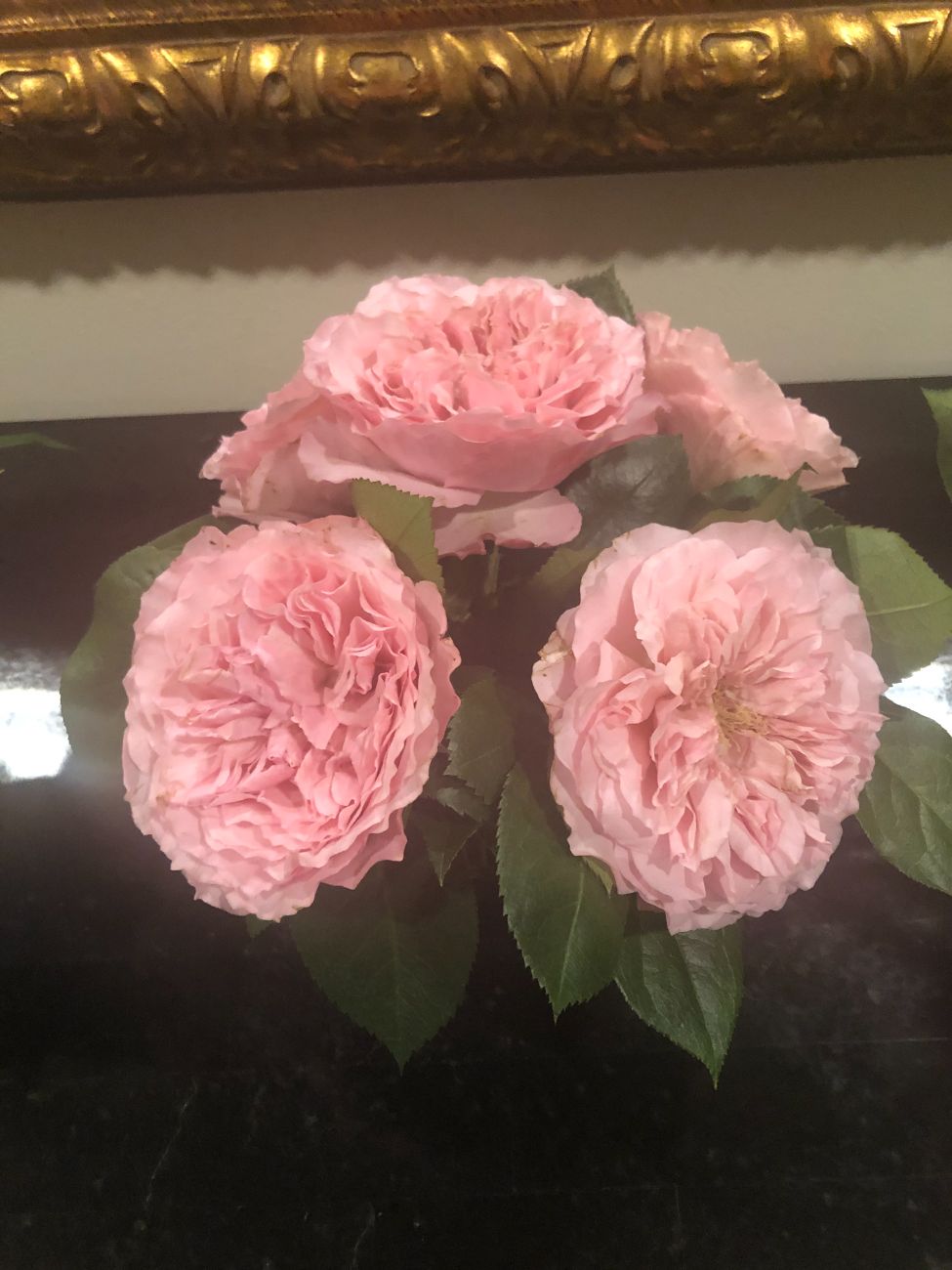 Garden rose arrangement by Flor de Mizpa, West Palm Beach florist