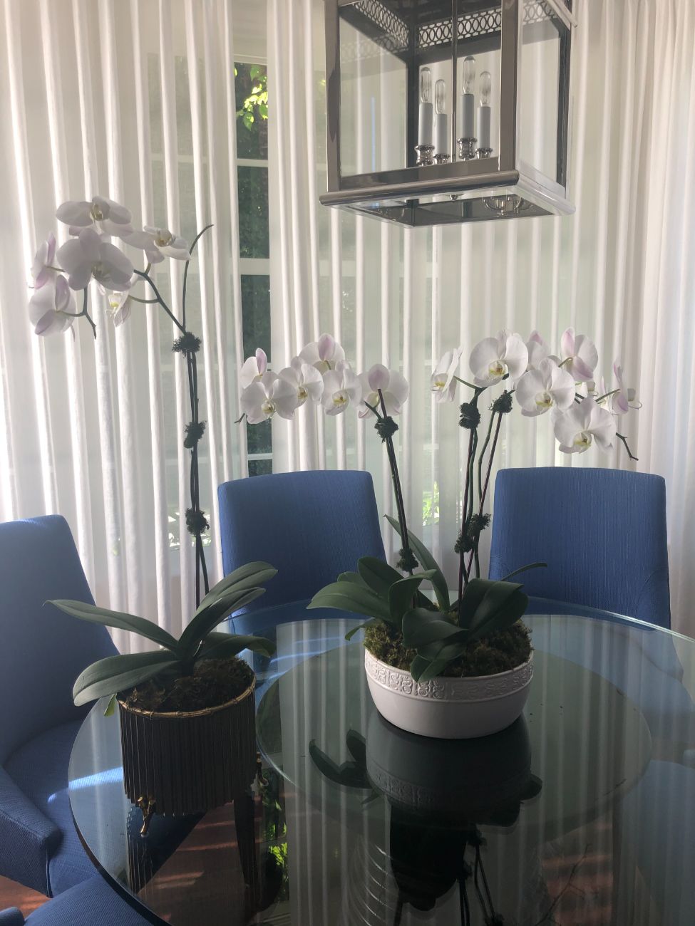 Designer’s choice orchid arrangement by Flor de Mizpa